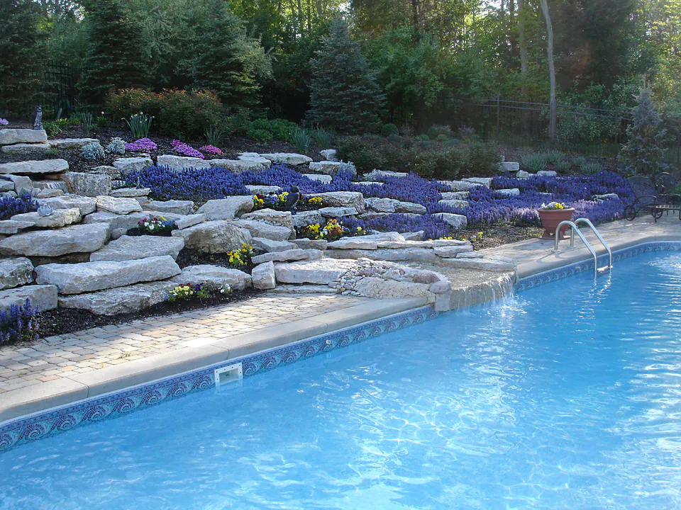 In-ground pool with a tiled water line below a terraced boulder slope planted with purple and yellow groundcover