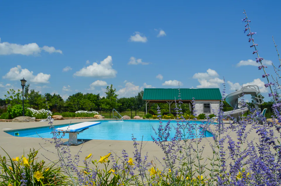 Community pool with perennial planting, ornamental grasses, blue salvia, and pavilion beyond