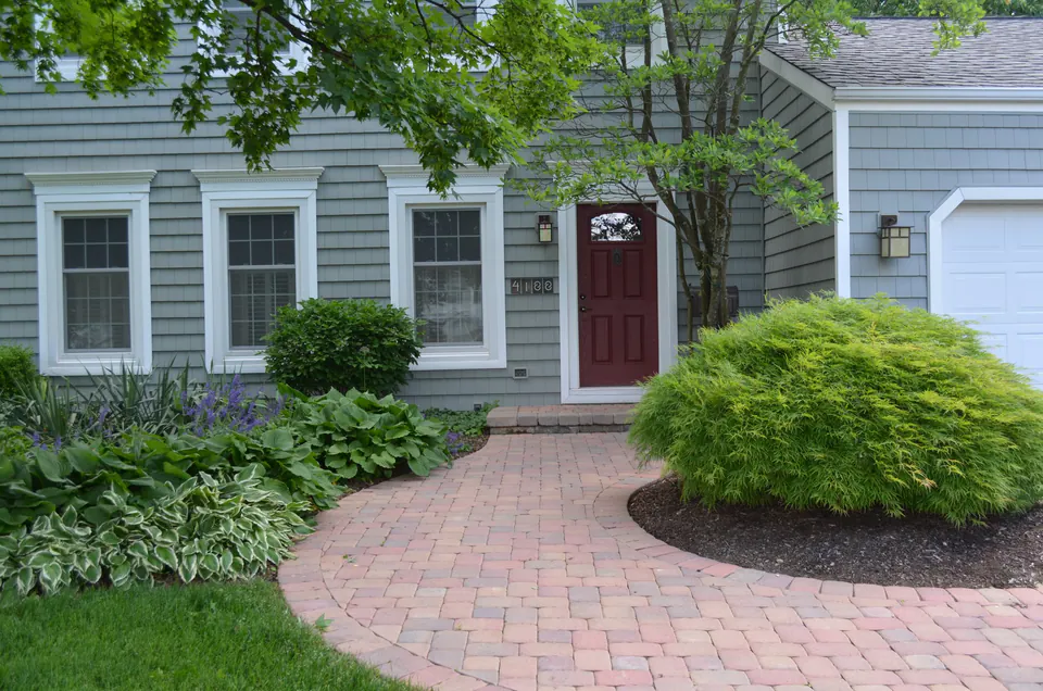 Curved red paver front walk to a gray house with hostas and an ornamental conifer