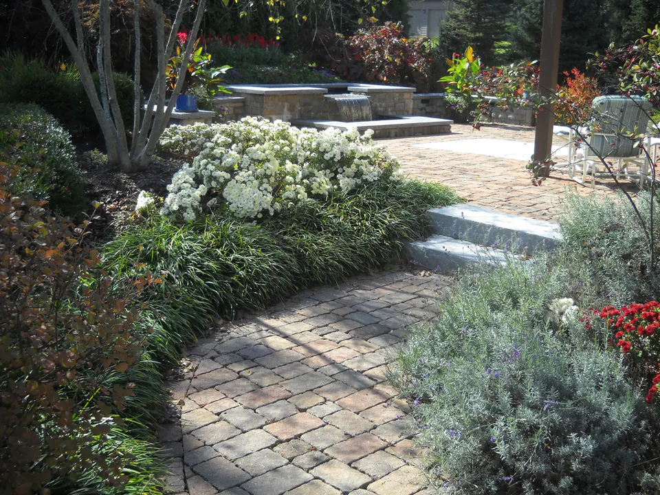 Curved paver walk through planting beds leading to steps and a raised stone patio