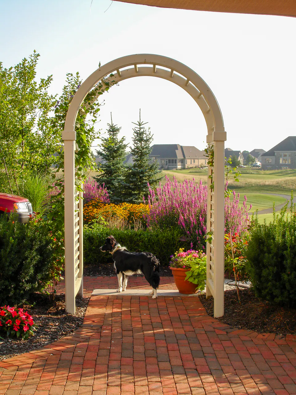 Arched white garden arbor over a brick walk with flowering planting and evergreen shrubs