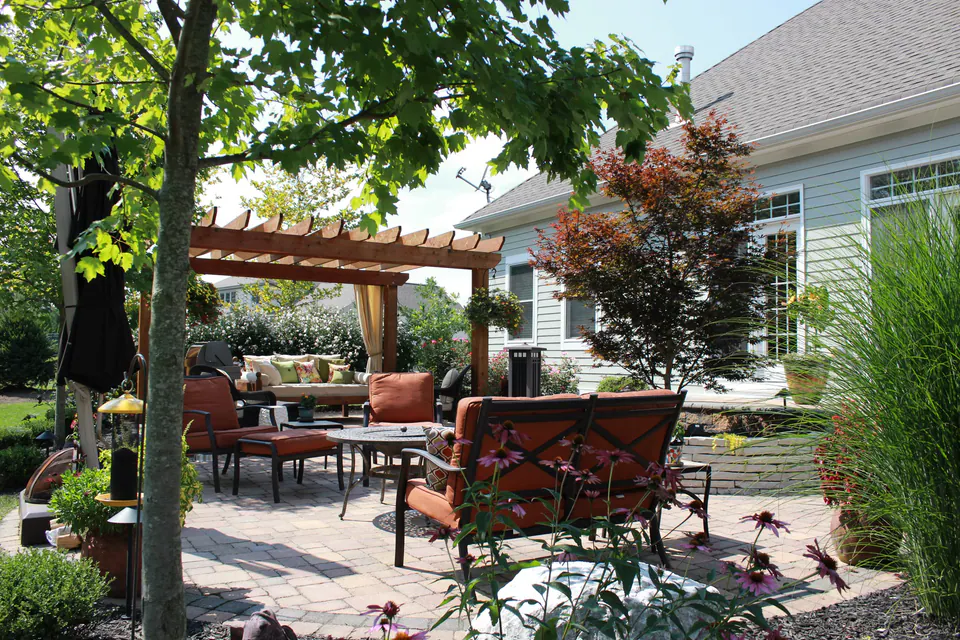 Cedar pergola with curtains over a paver patio with lounge furniture and ornamental grasses