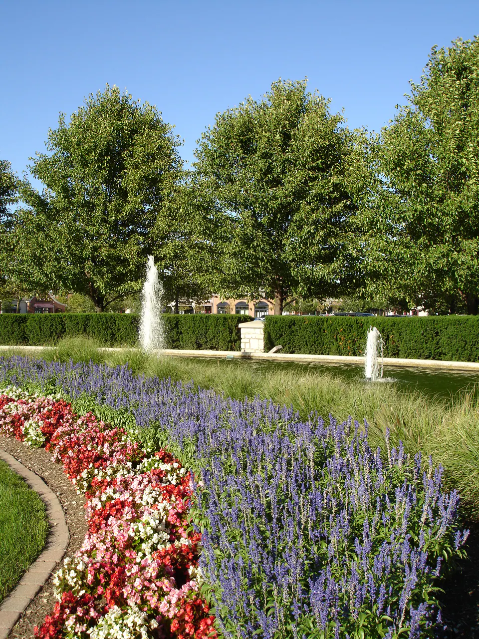 Curved bed of red annuals and blue salvia along a lawn toward a fountain pond with clipped hedges