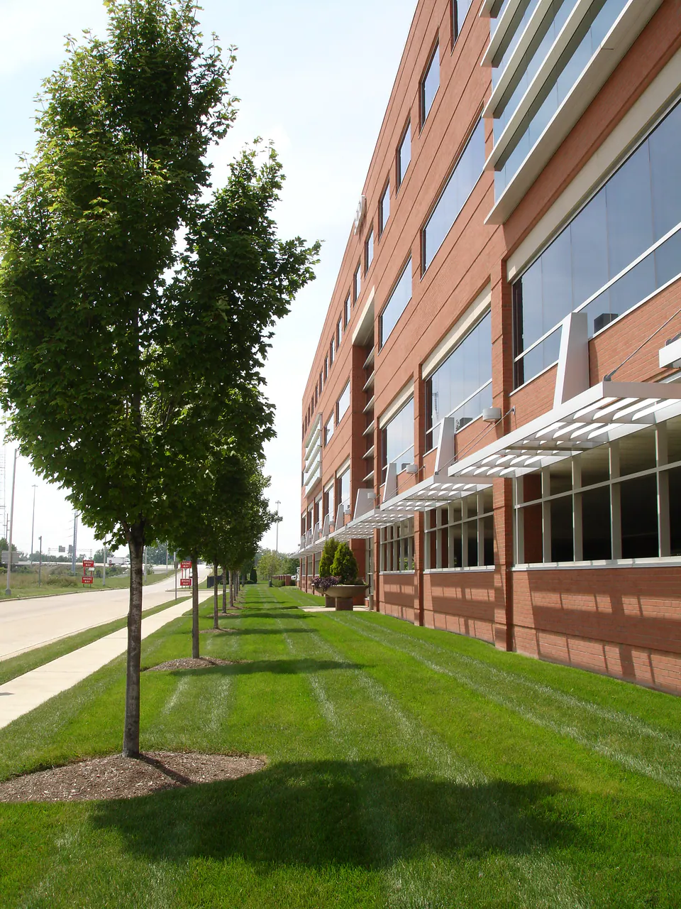 Row of street trees in a striped lawn strip beside a brick office building and sidewalk