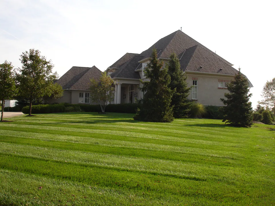 Striped lawn sloping up to a large house with evergreens and shade trees