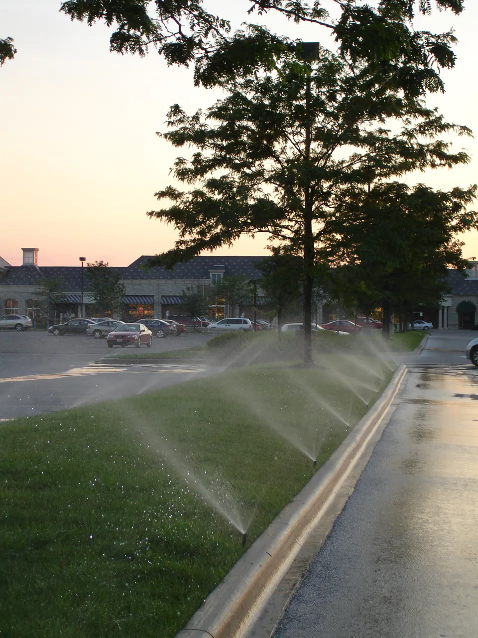 Row of rotor heads spraying along a curbed lawn strip at a retail parking lot in low sun