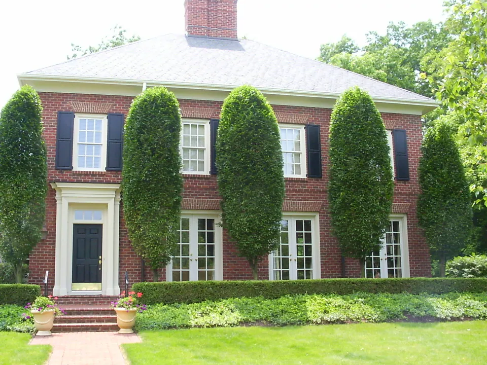 Brick house with black shutters, tall clipped evergreen columns between the windows, and a low boxwood hedge