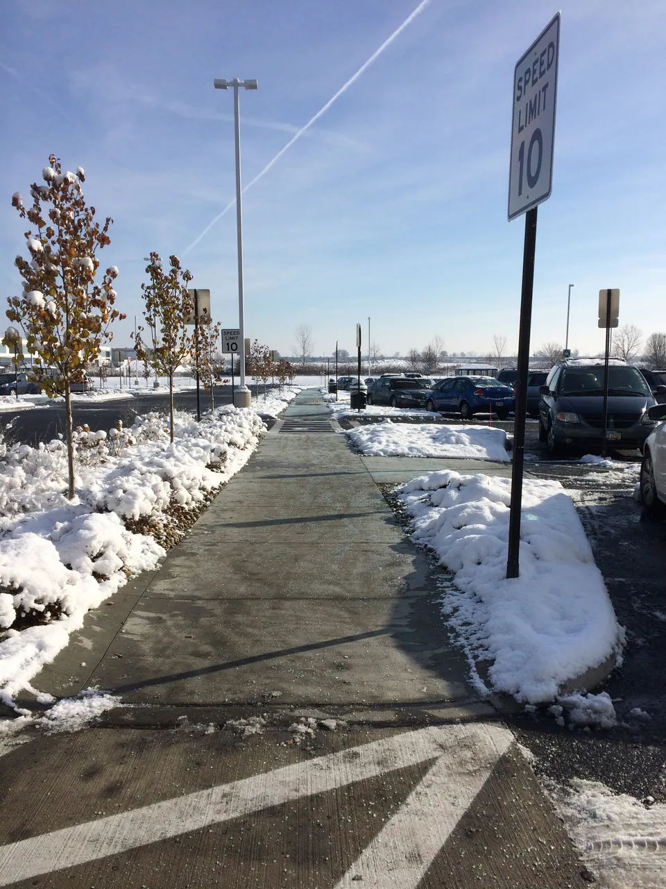 Cleared concrete walk running through a snow-covered planting strip beside a parking lot
