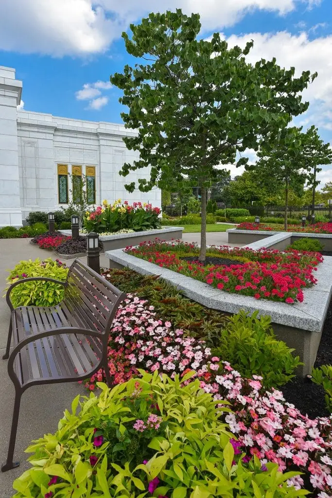 Commercial Landscape