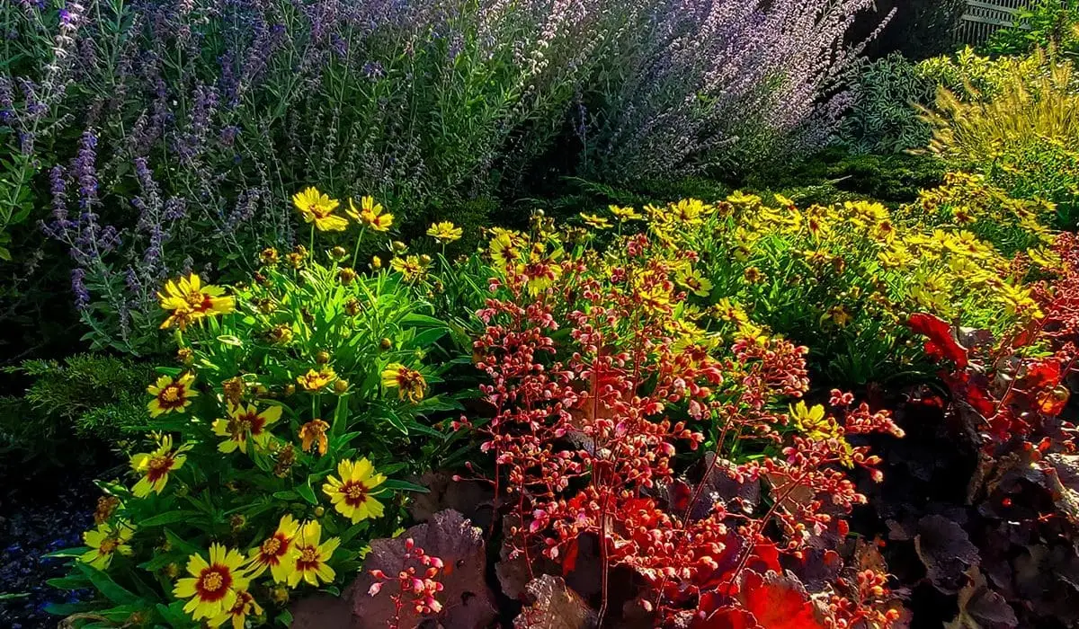 Residential Landscaping Colorful Flowers
