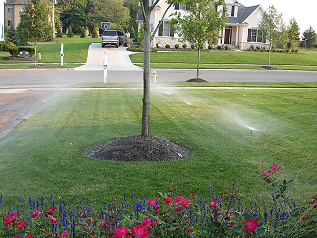 Front with house behind photographer
