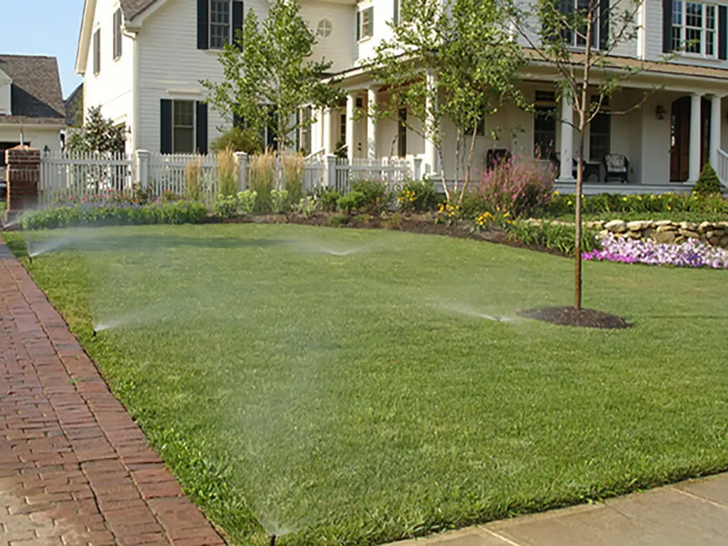 Irrigation Side yard