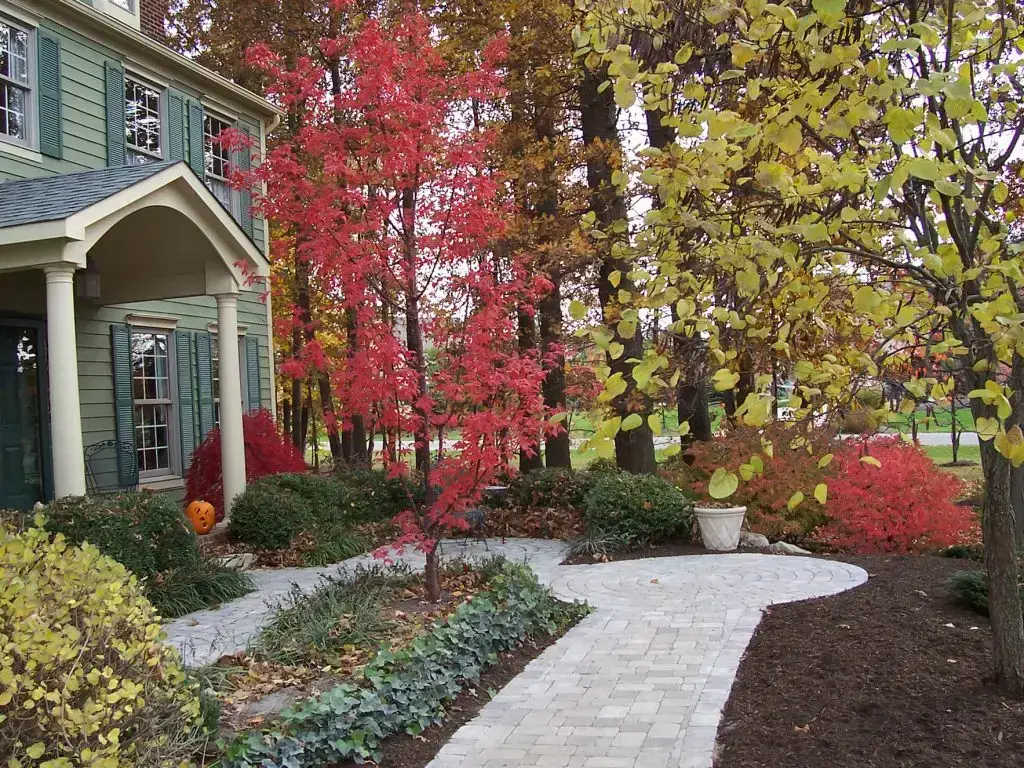 Sidewalk to Front Door