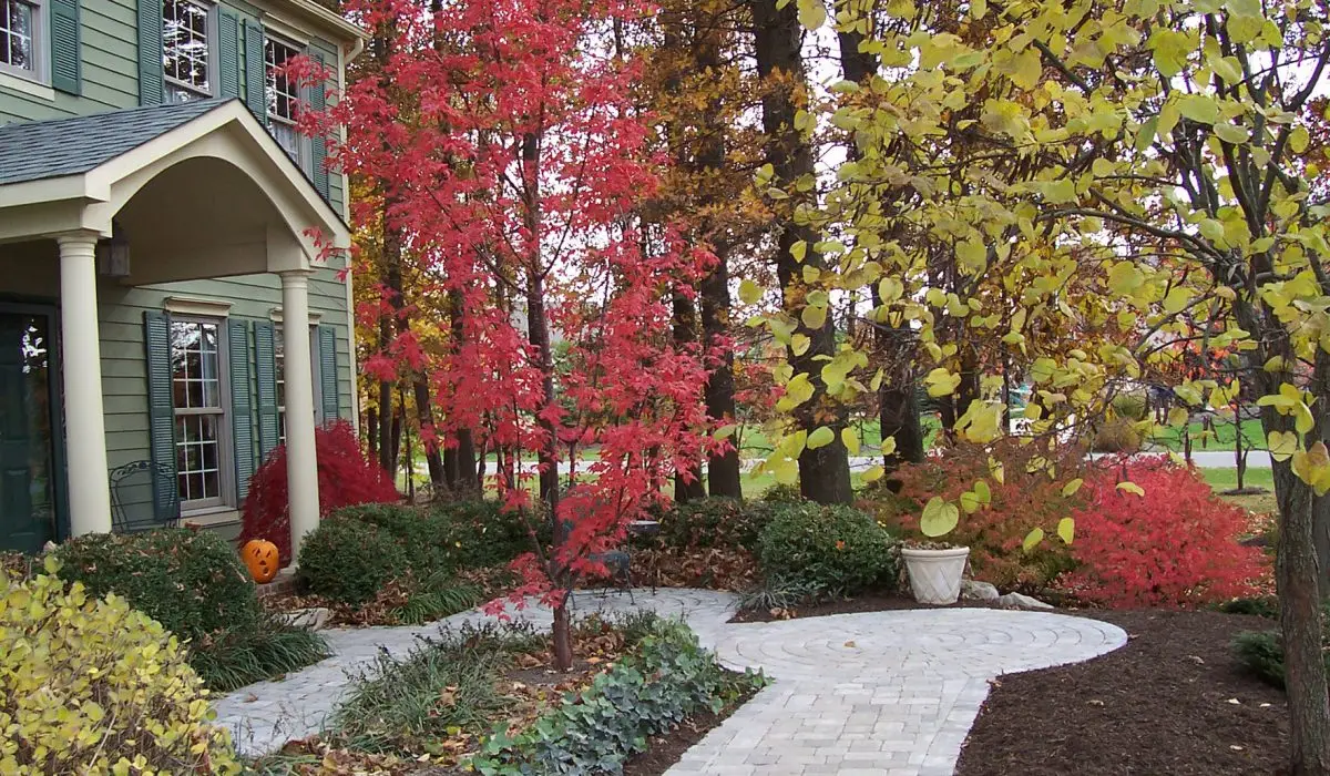 Sidewalk to Front Door