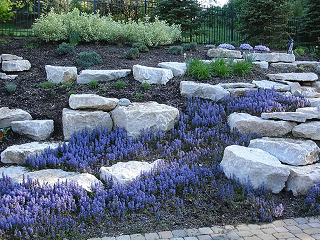 Stone landscape and purple flowers_flower pot removed