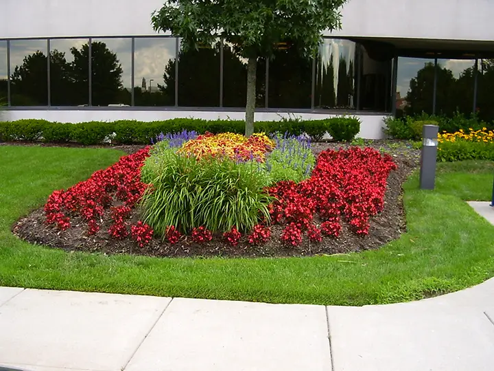 Commercial Landscape